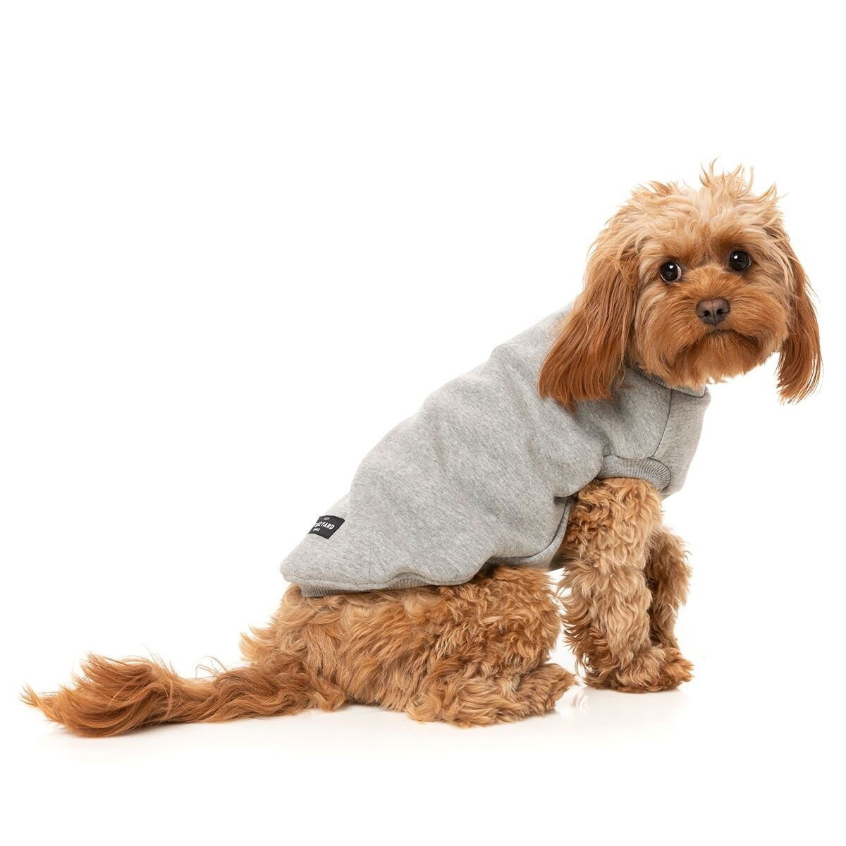 FuzzYard sweater Stevie, grey