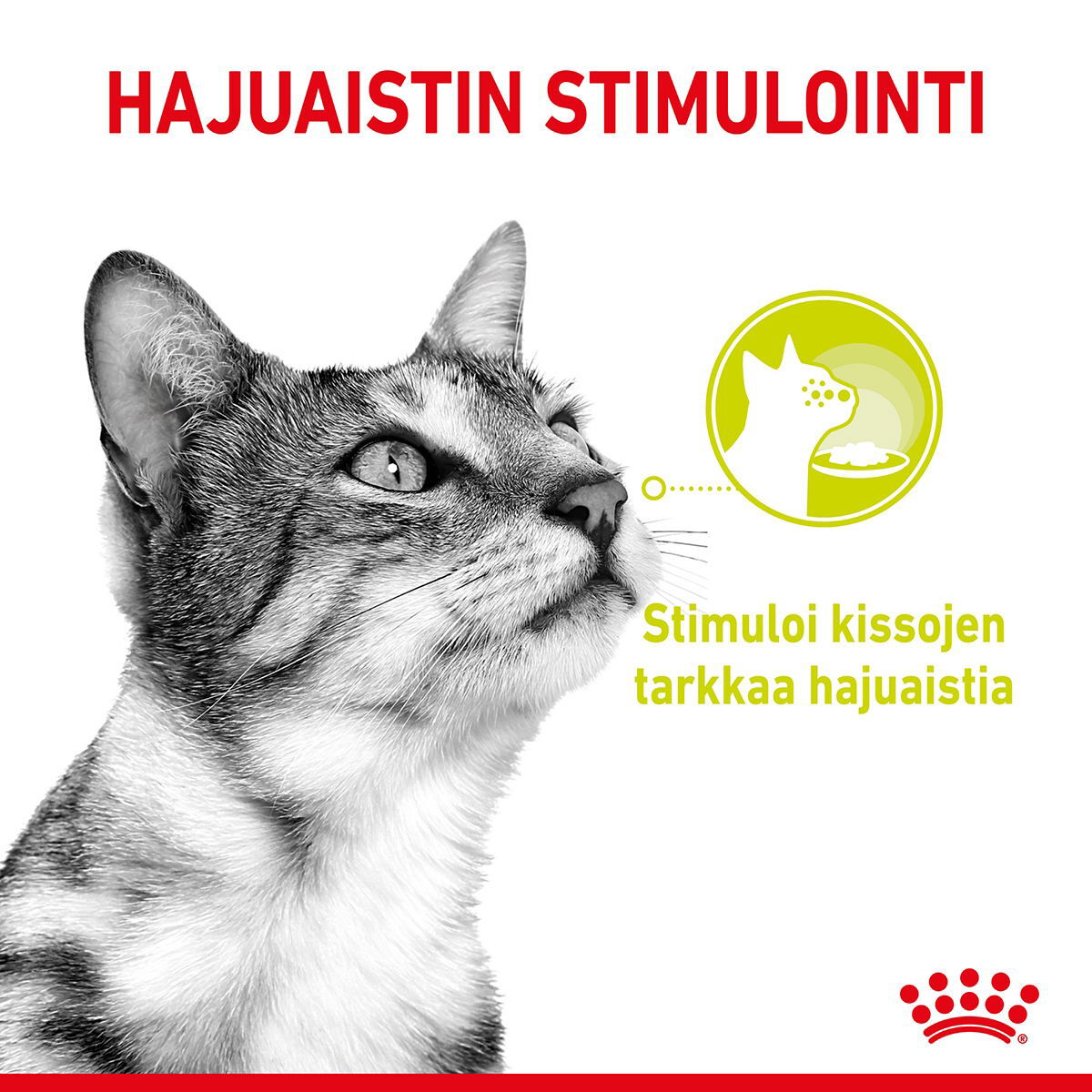 Royal Canin Sensory Smell Gravy Adult kissan märkäruoka