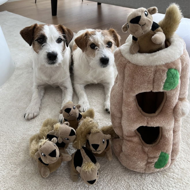 Outward Hound Hide A Squirrel