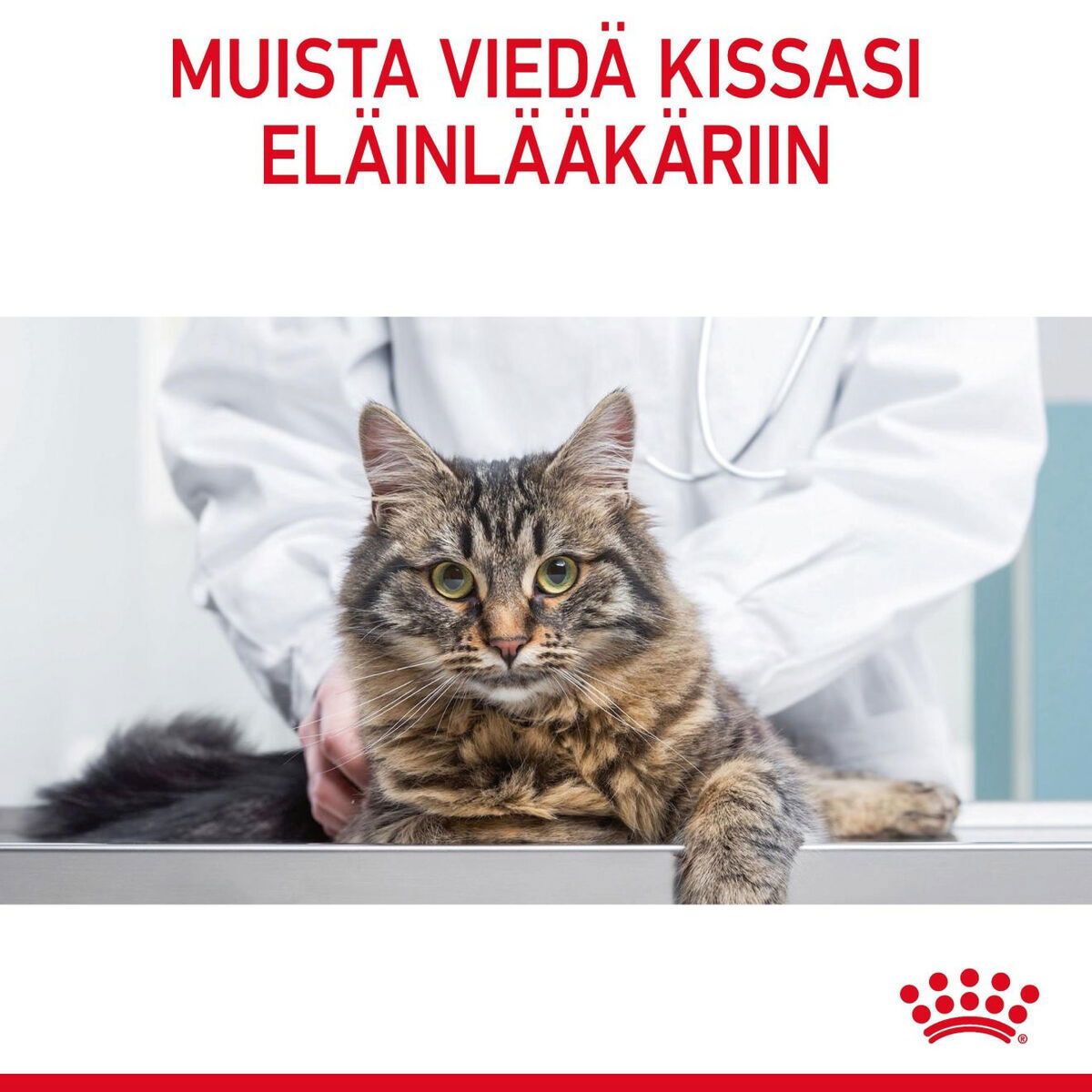 Royal Canin Urinary Care Gravy Adult kissan märkäruoka