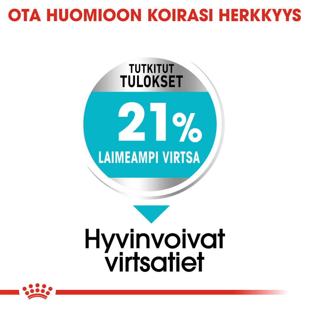 Royal Canin Urinary Care Mini Adult koiran kuivaruoka