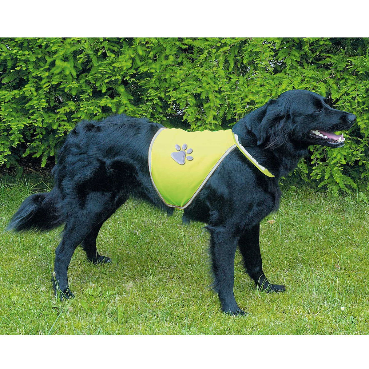 Trixie Heijastinliivi