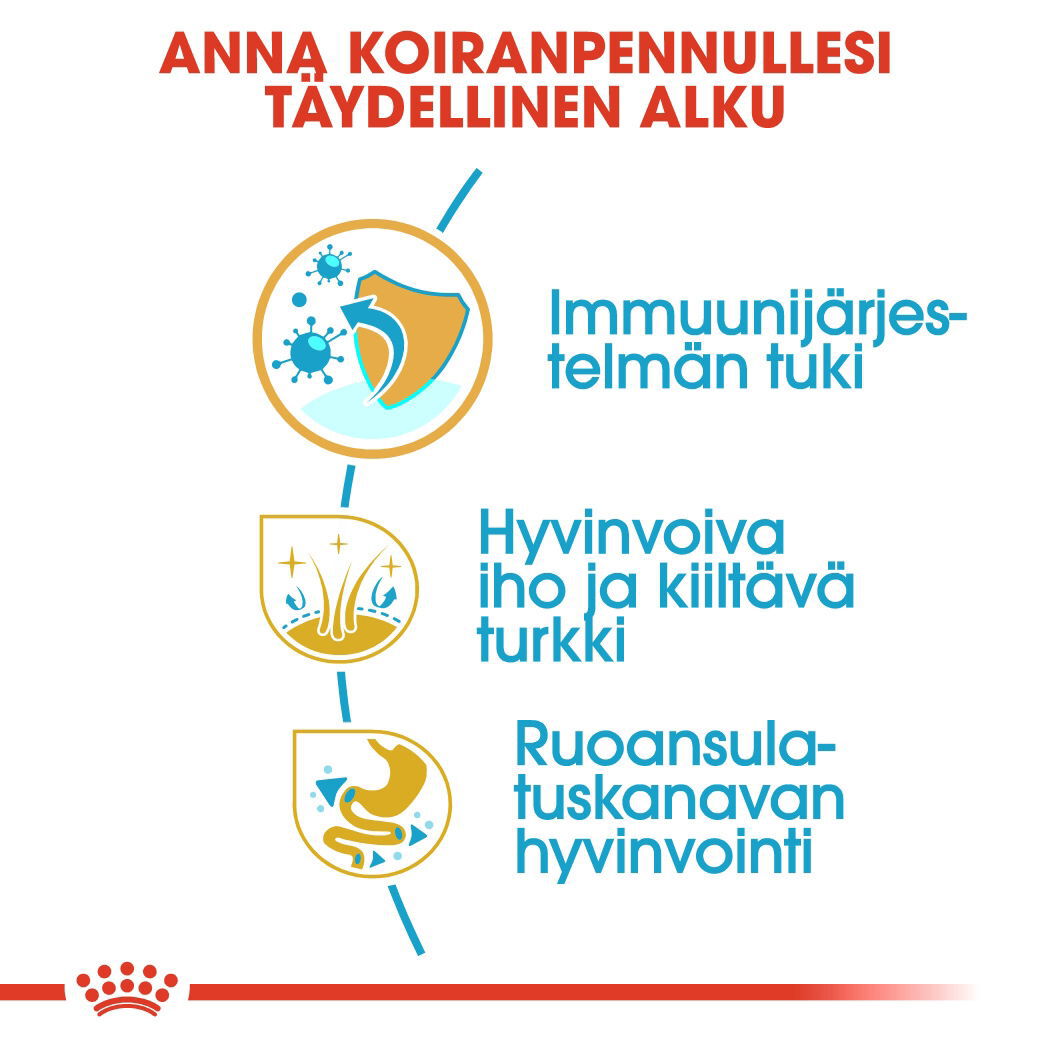 Royal Canin Cocker Puppy koiranpennun kuivaruoka