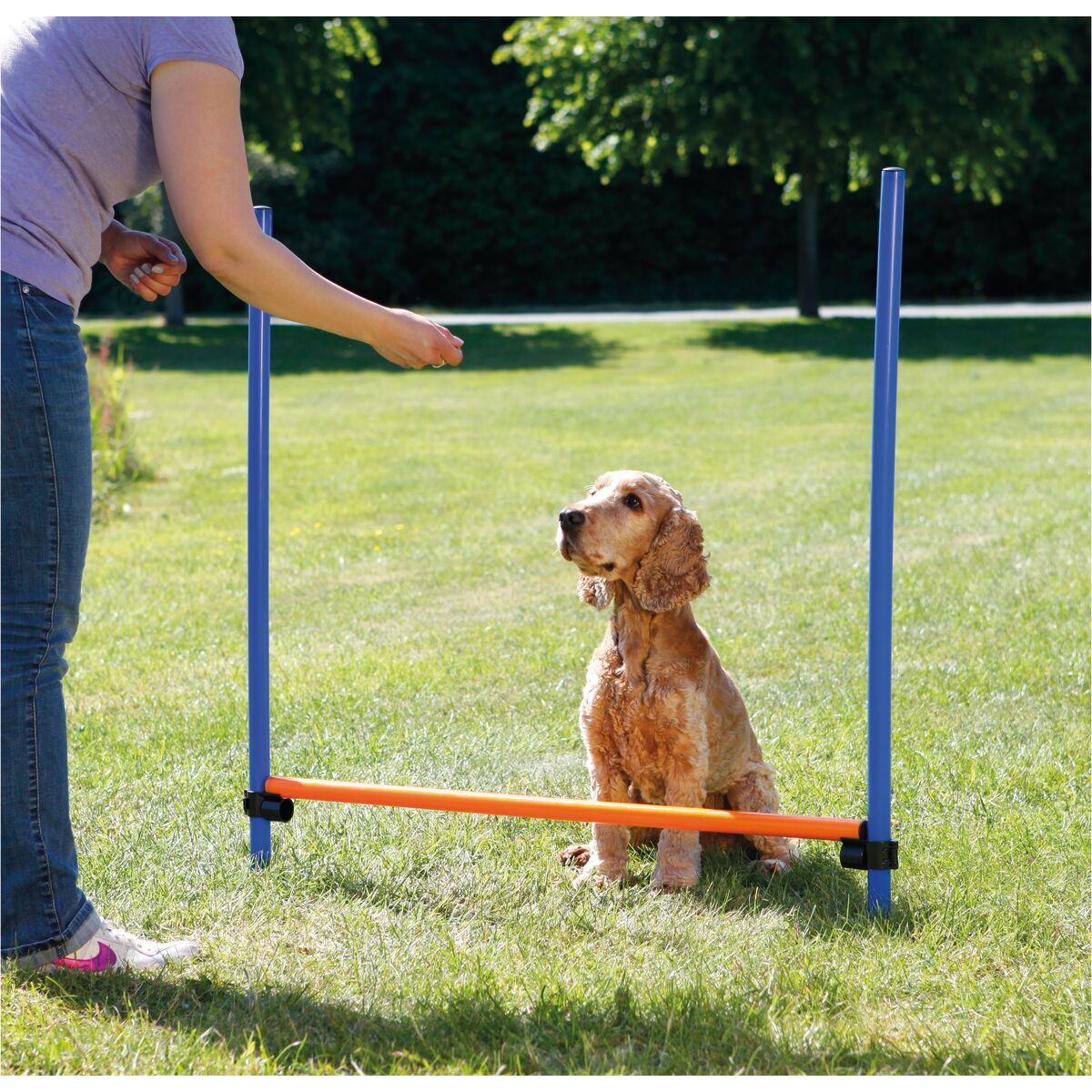 Agility aitaeste Trixie 123 x 115 cm