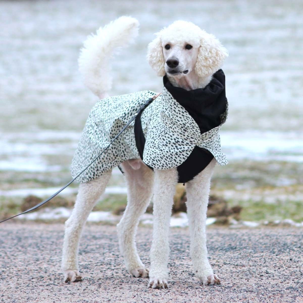 PAIKKA Raincoat  2.0