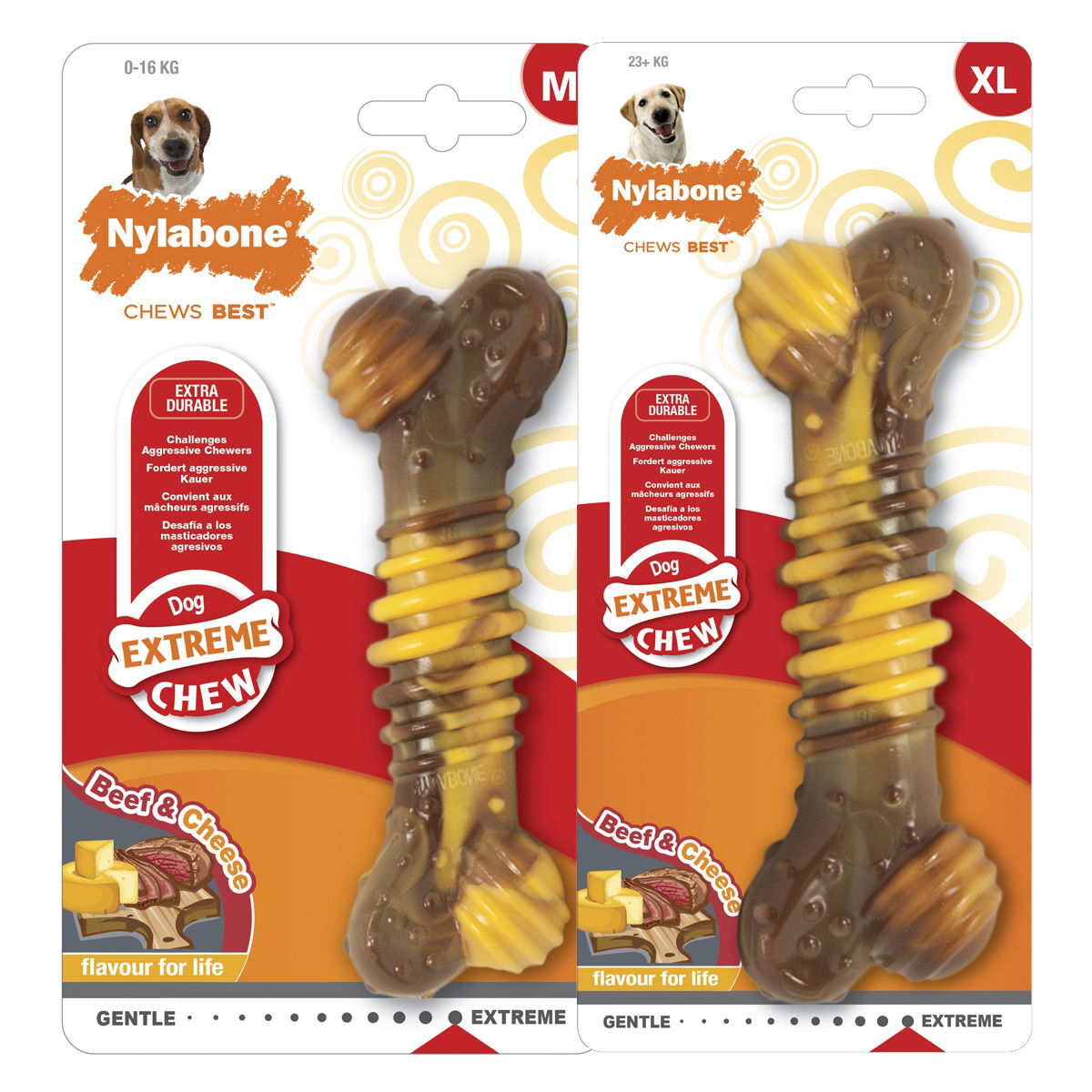Nylabone Extreme Texture Beef and Cheese