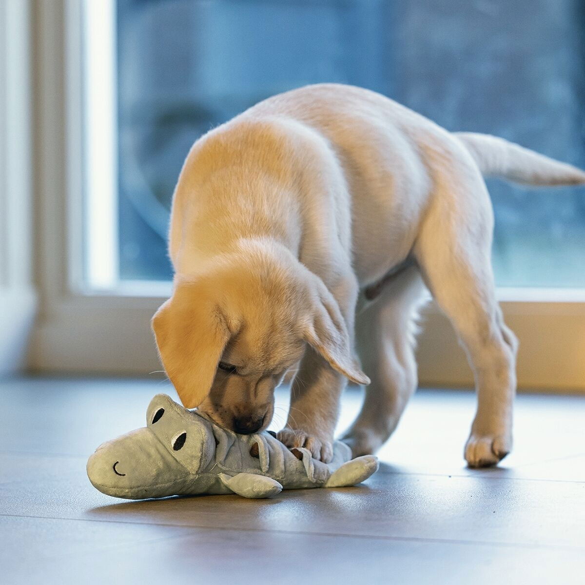 Beeztees puppy crocodile Jake