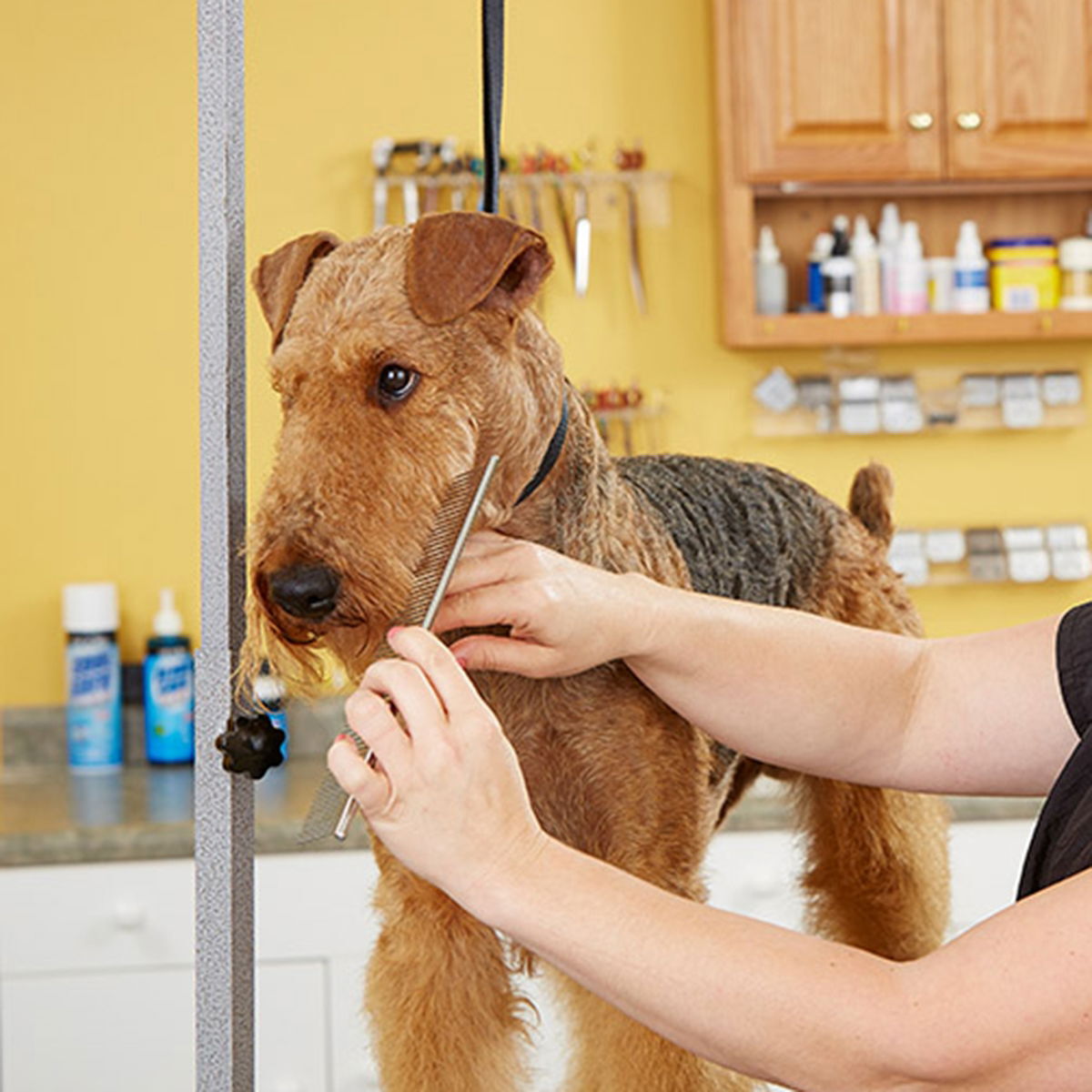 Andis-teräskampa 19 cm