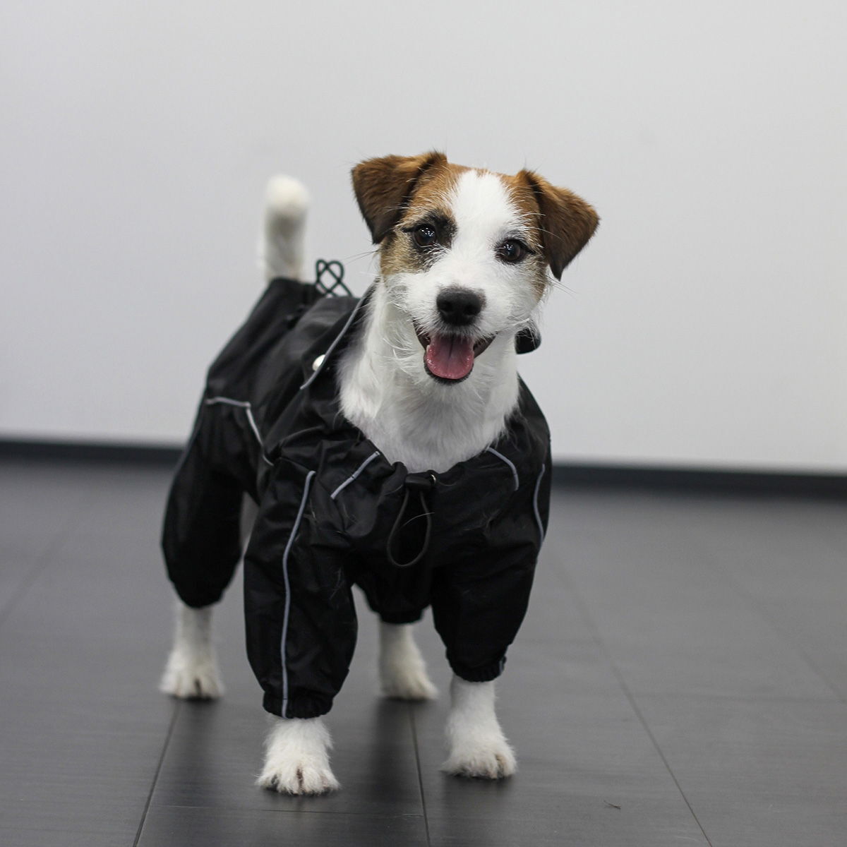 Kerbl Raincoat Manchester