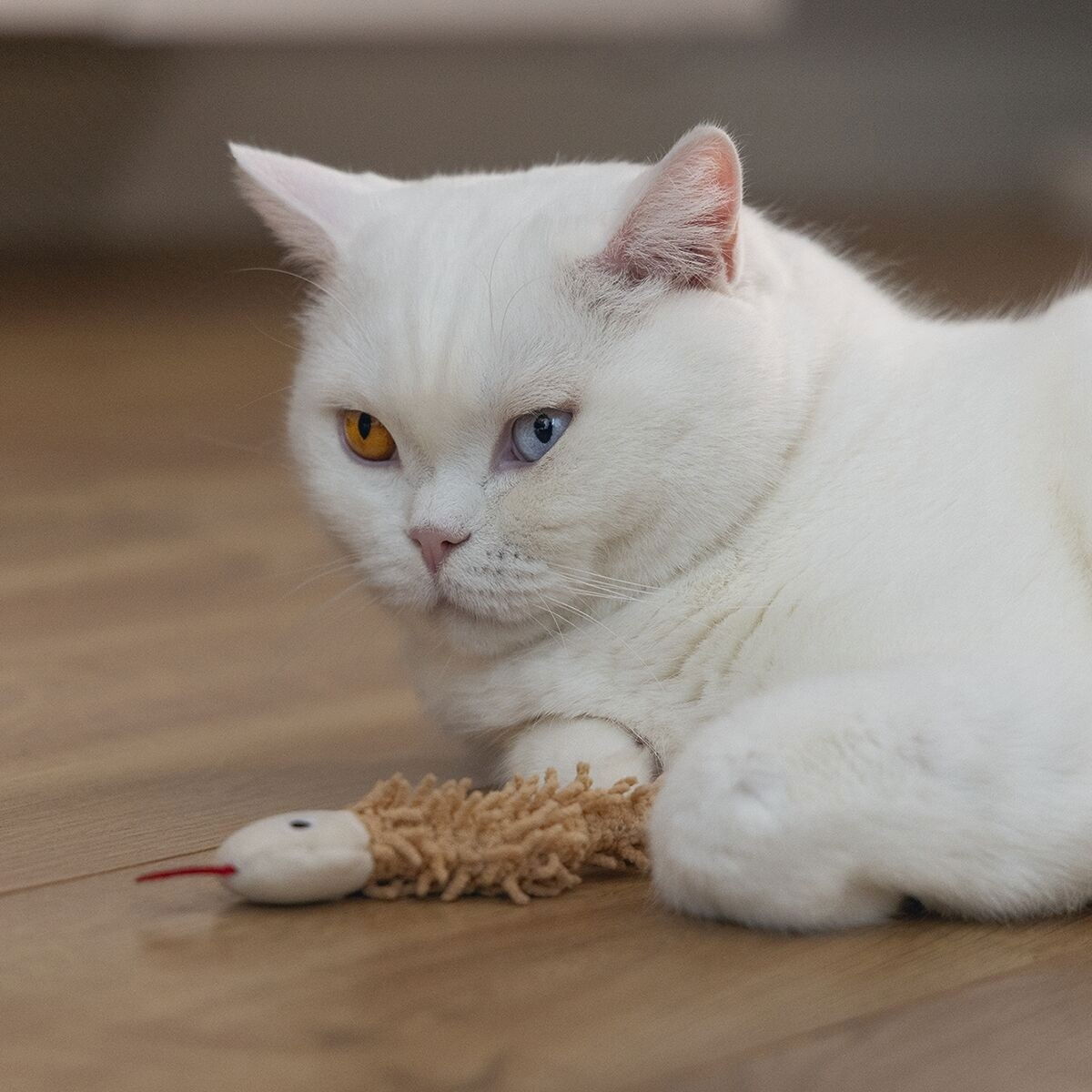 Beeztees Eco Cat Snake Boa