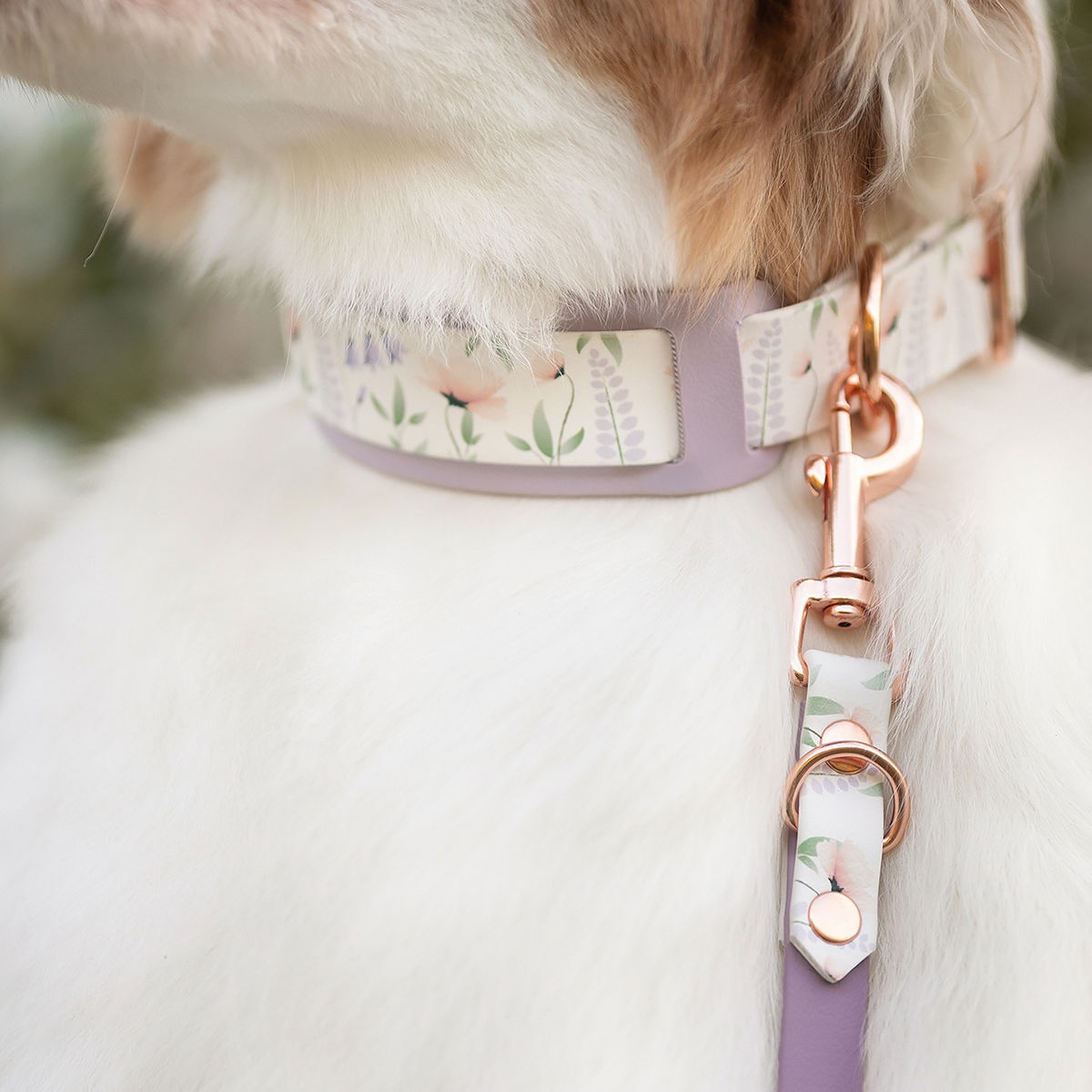 Tyylivoitto collar extender, lavender