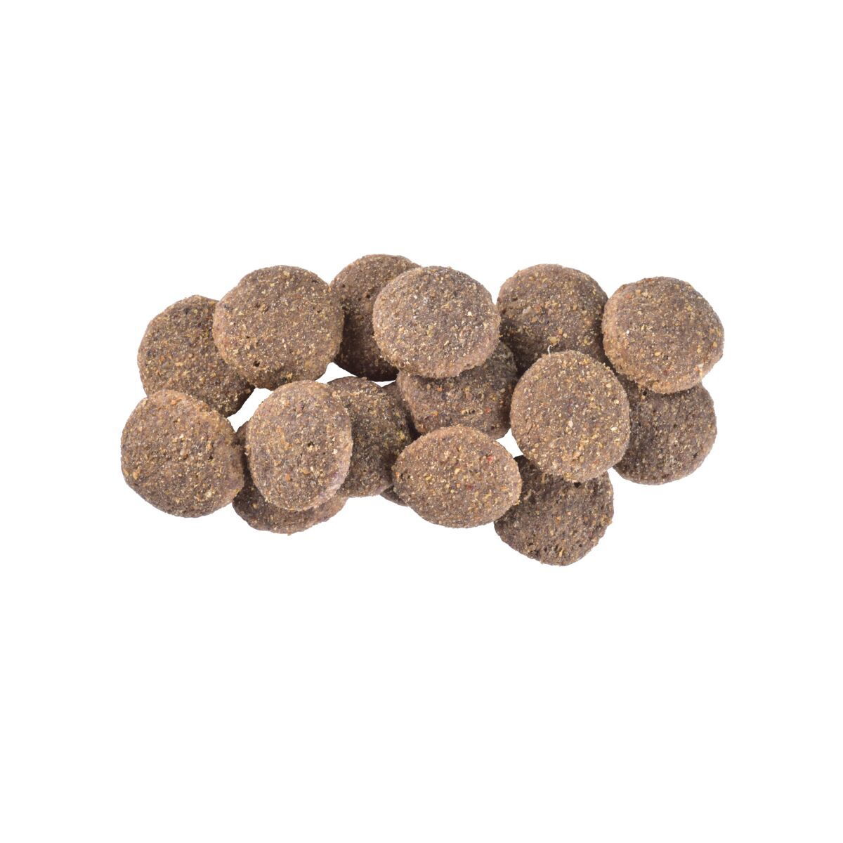 Brit Care Dog Sustainable Senior