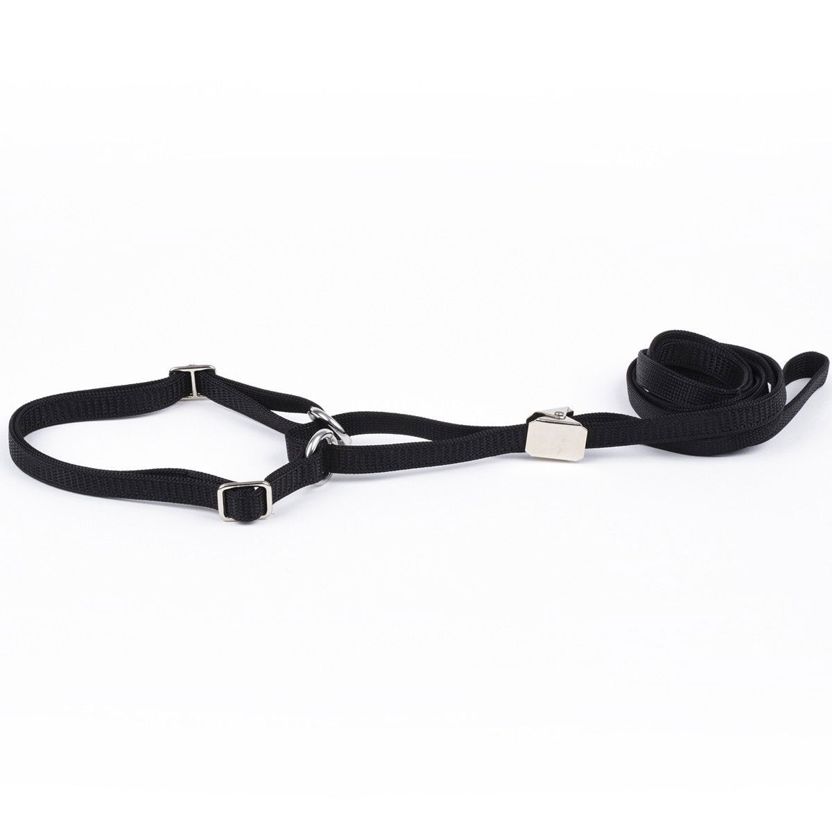 Show Dog Näyttelytalutin litteä puolikiristävä kaulain pyykkipoika-säädöllä, musta