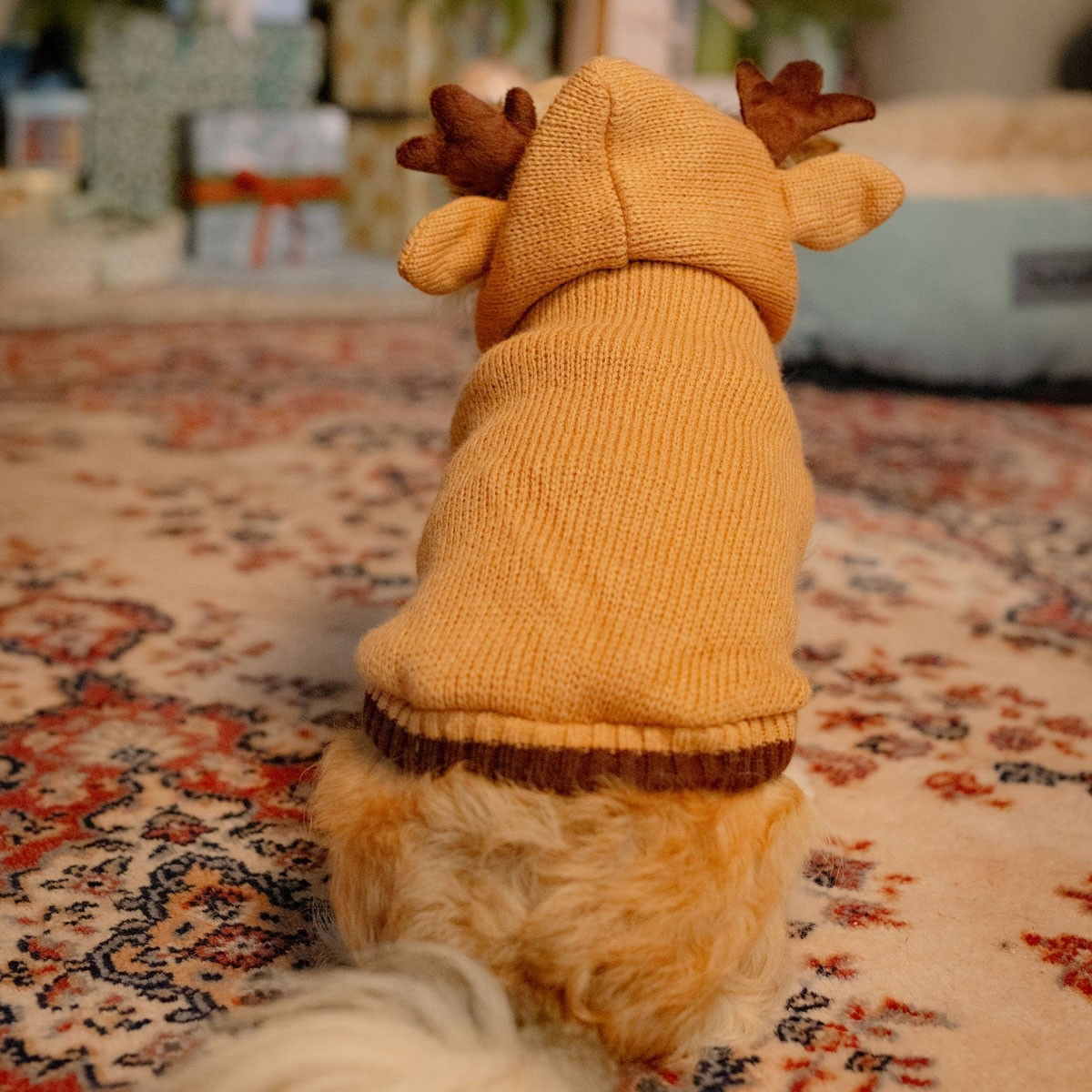 Little&Bigger Poro neuloshuppari ruskea