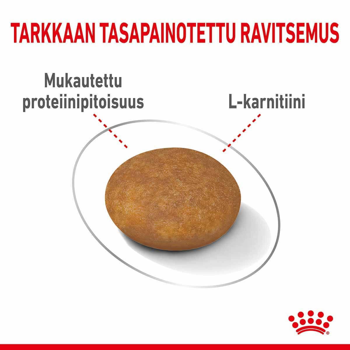 Royal Canin Light Weight Care X-small Adult koiran kuivaruoka