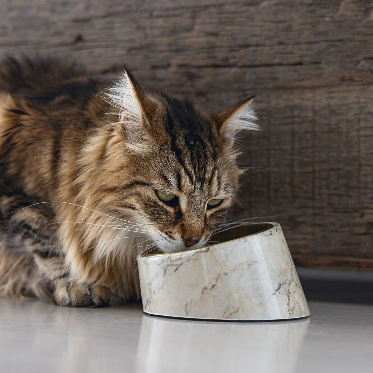 Designed by Lotte cat bowl Vita 160ml