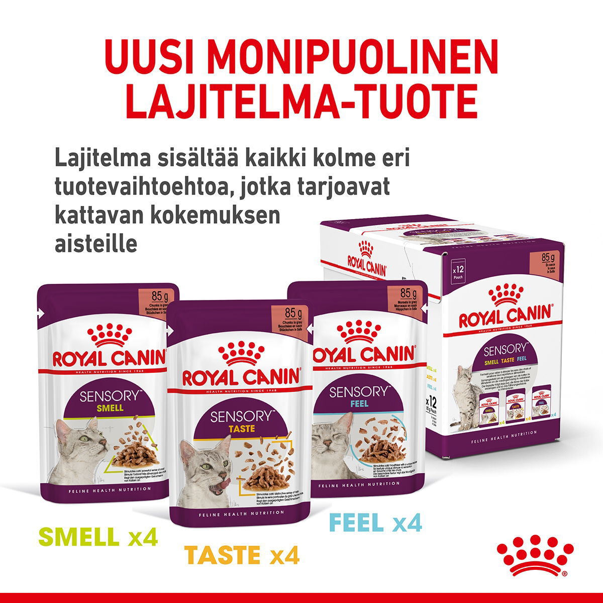 Royal Canin Sensory Smell Gravy Adult kissan märkäruoka