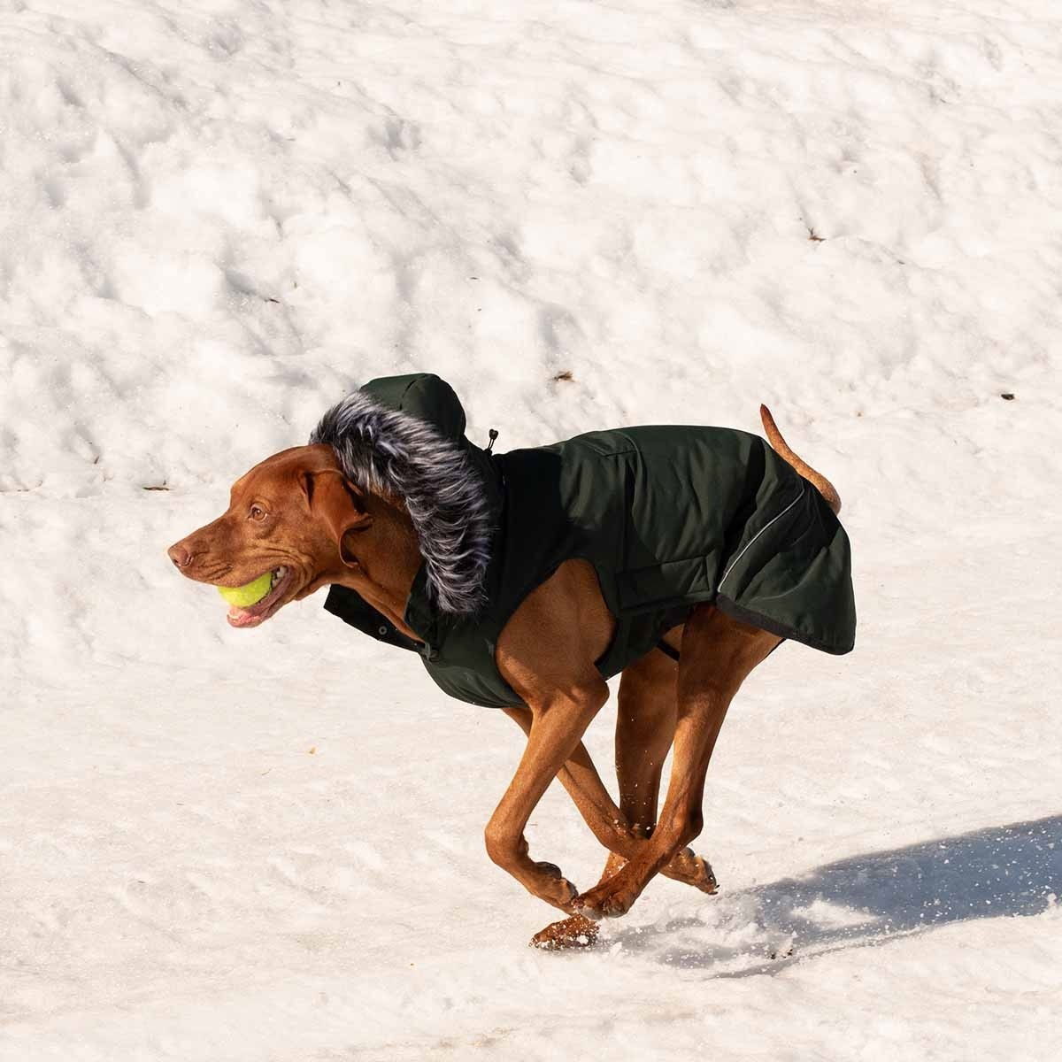 Rukka Frostbiter parka, dark forest