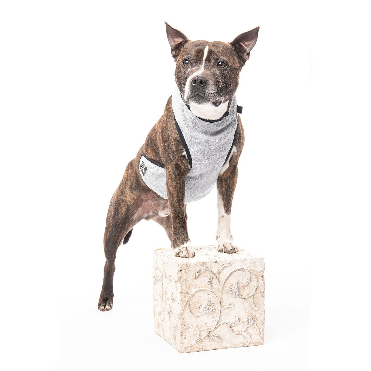 RuttuNuttu Masukki, harmaa