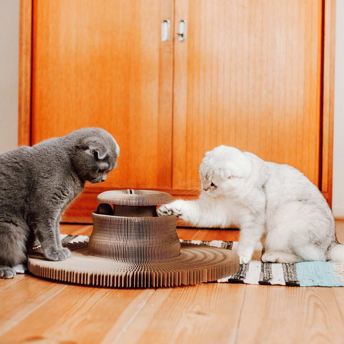 Cat bed District 70 Maze