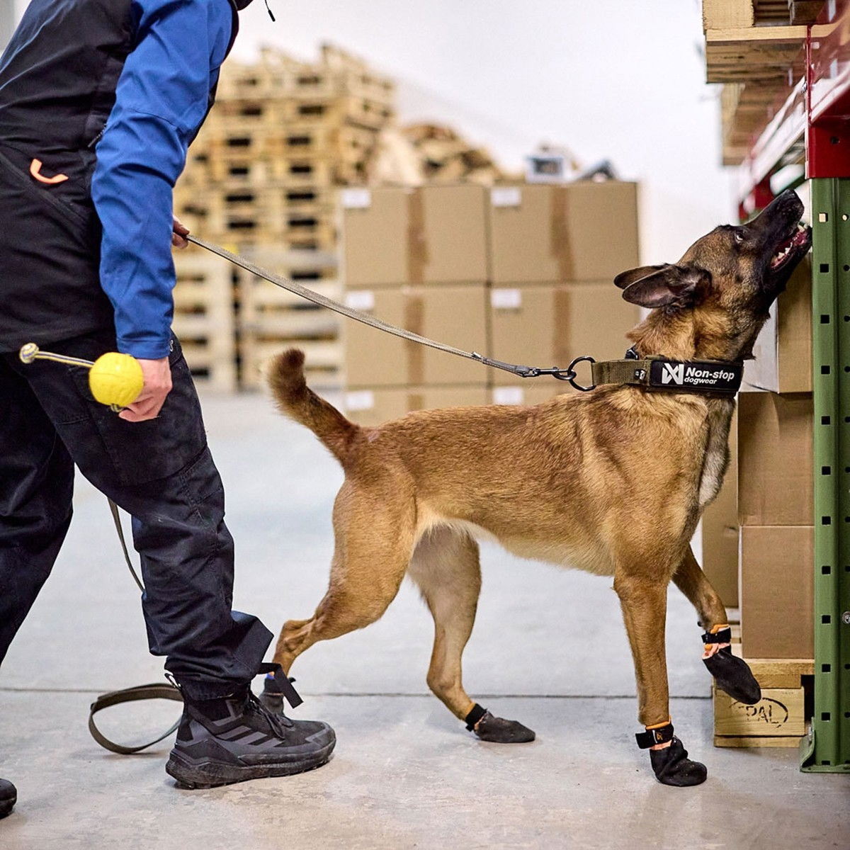 Non-stop Solid WD kaulapanta oliivi