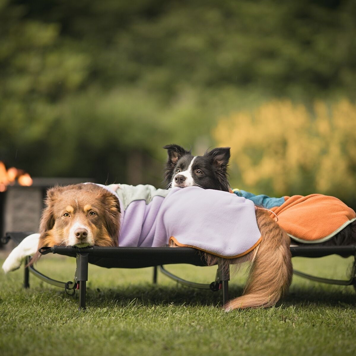 Woolly Wolf Alpha 360 Fleece pullover, Lavender Mix