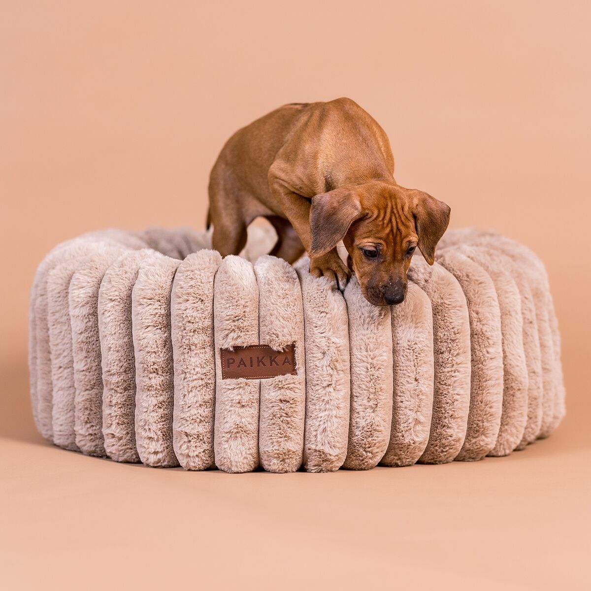 Orthopedic dog bed PAIKKA Round 