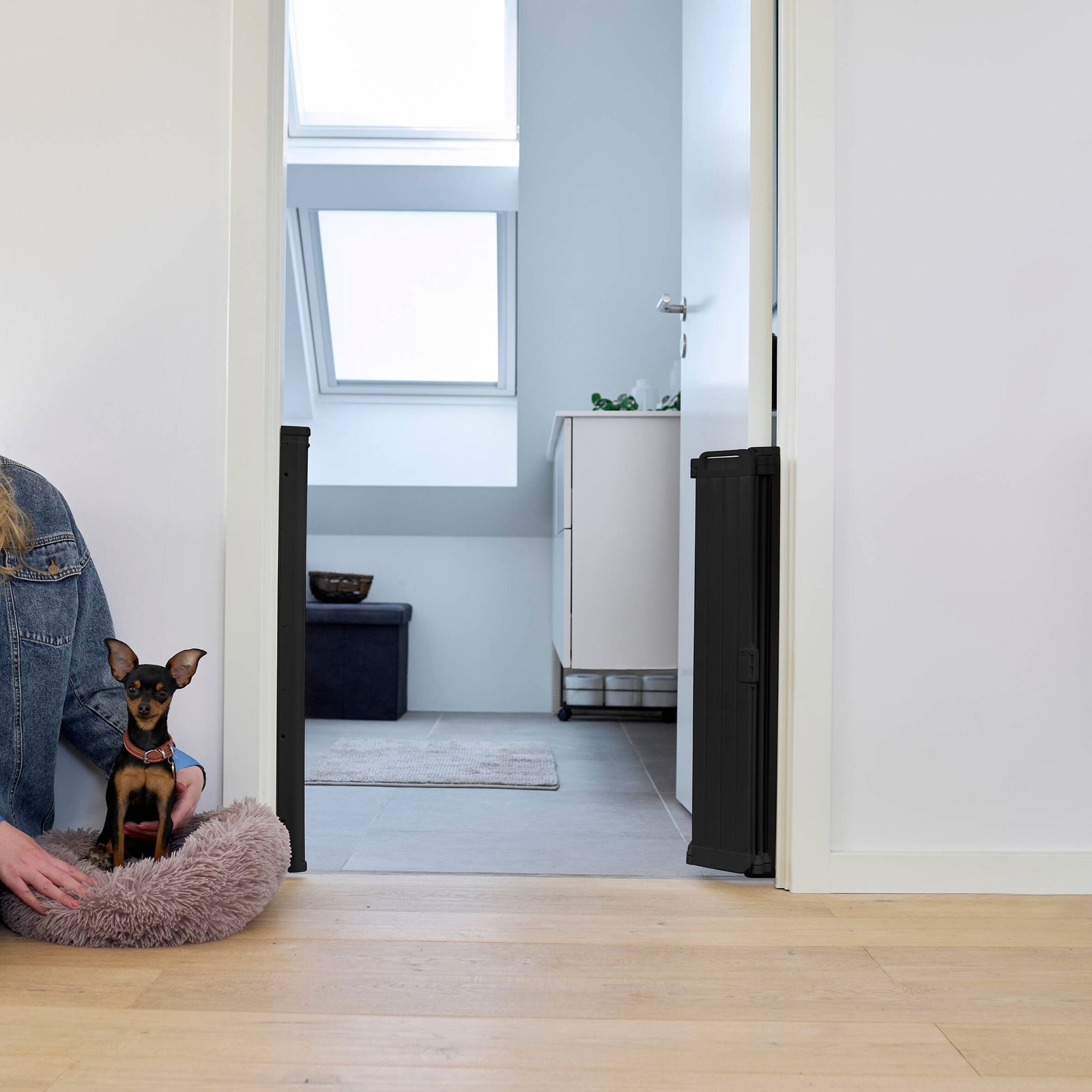 DogSpace Marley haitariportti