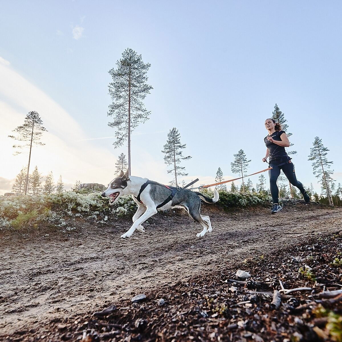 Non-stop Freemotion vetovaljas