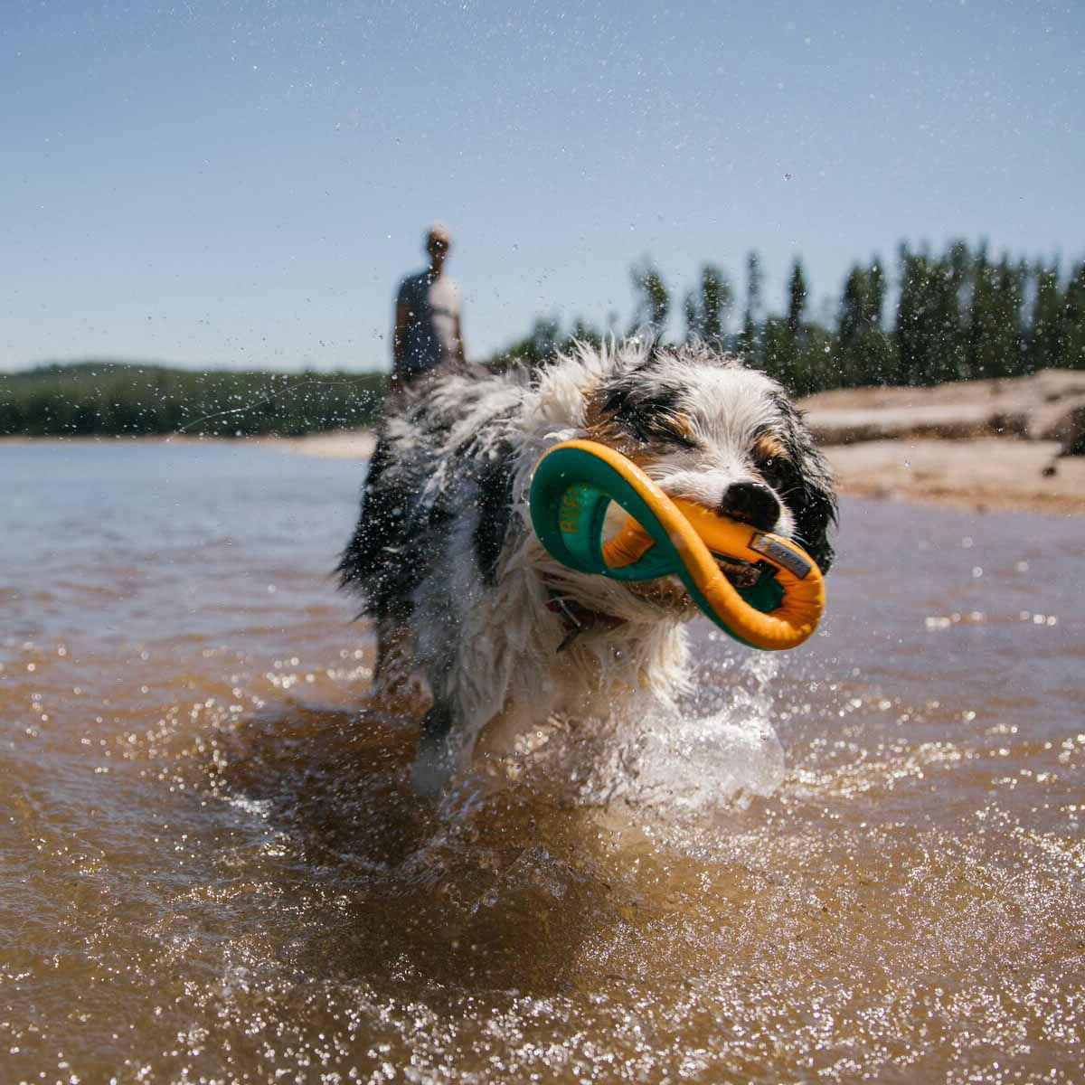 Frisbee Ruffwear Hydro Plane oranssi