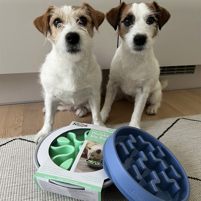 Slow feeder Outward Hound Wobble bowl