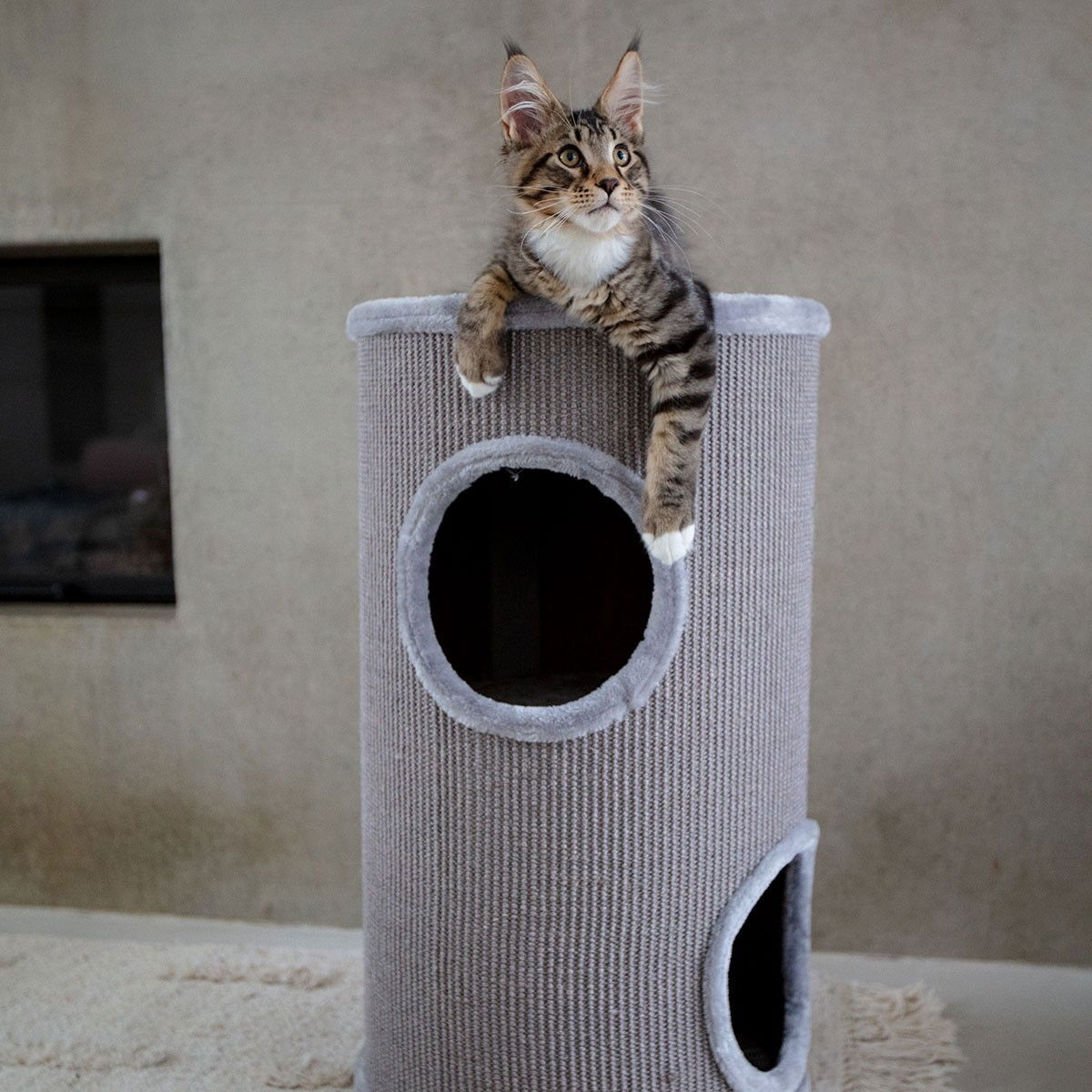 L&B Hidy raapimatynnyri