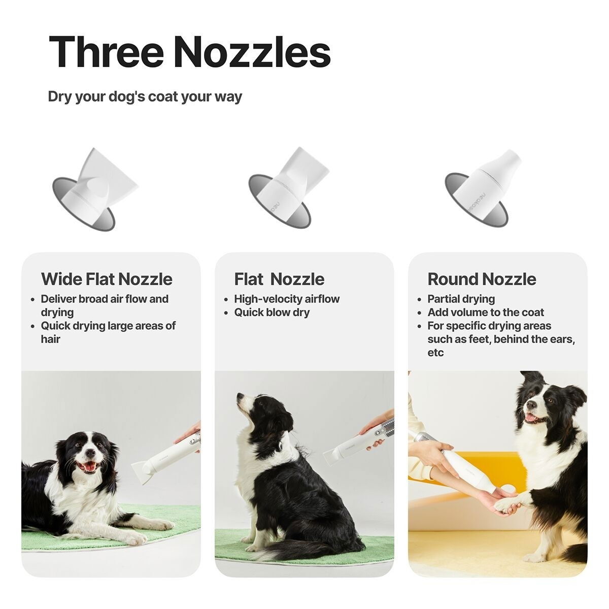 Neakasa F1 turkinkuivain