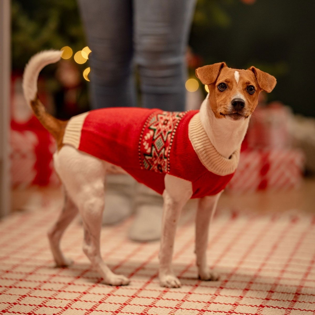 Little&Bigger Nostalgic neule punainen