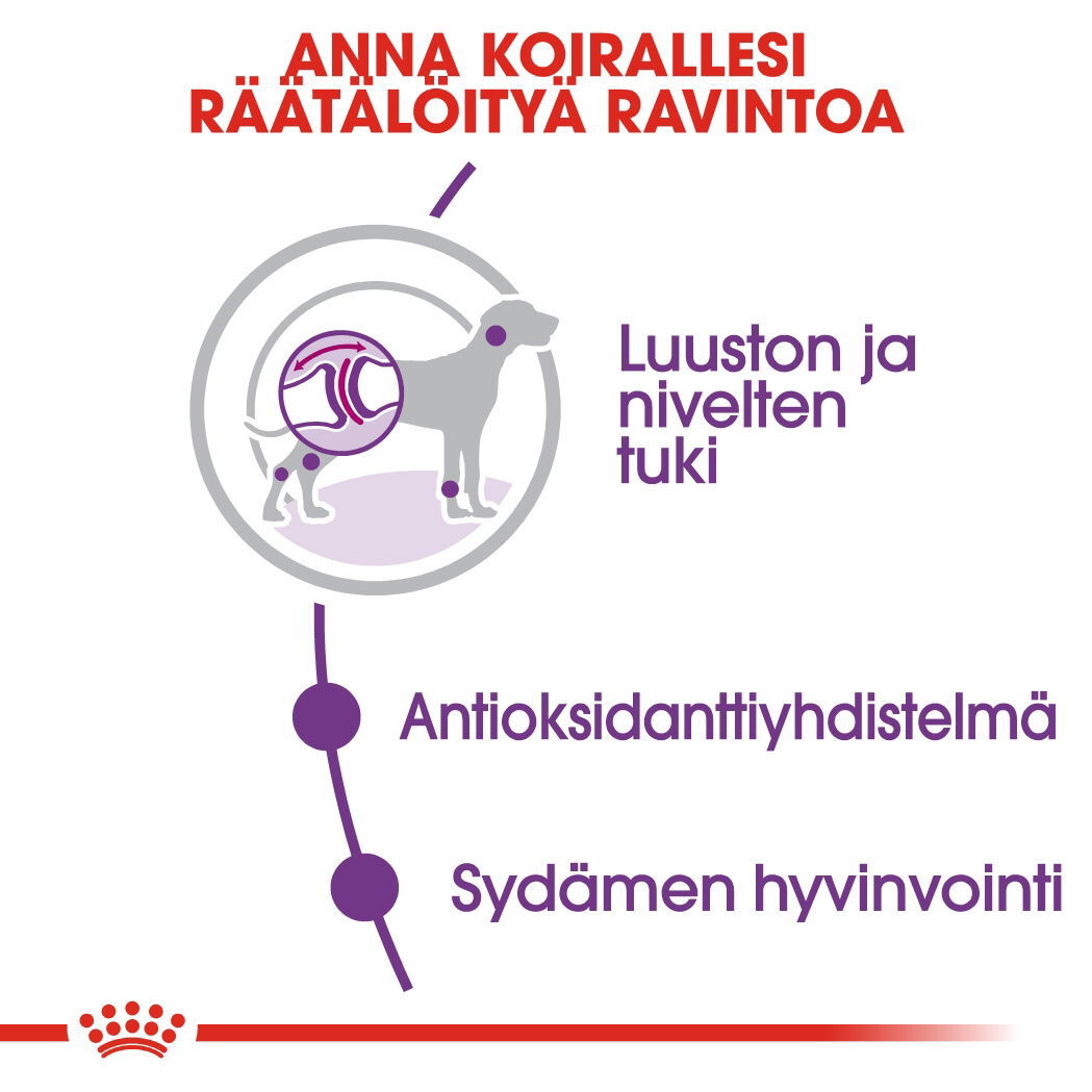 Royal Canin Giant Adult koiran kuivaruoka