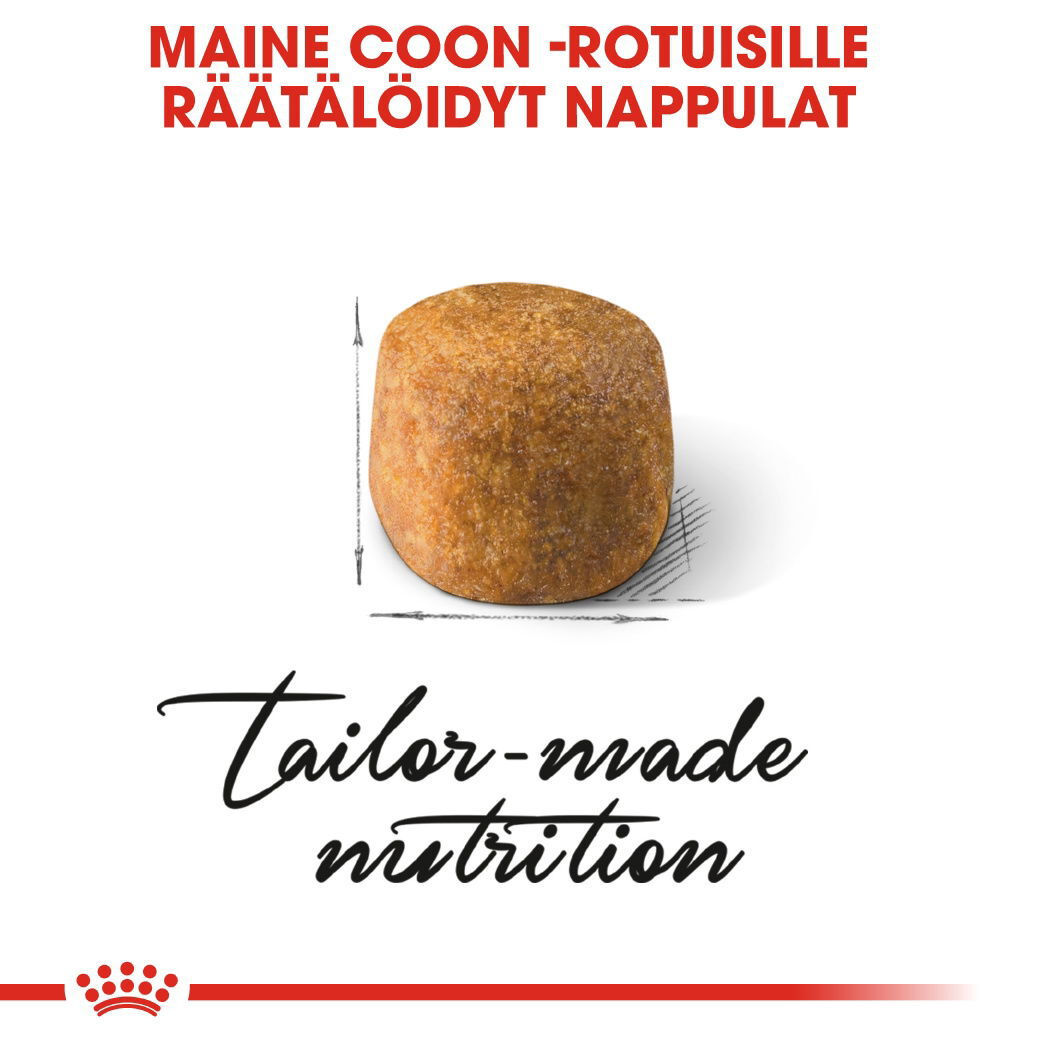Royal Canin Maine Coon Adult kissan kuivaruoka
