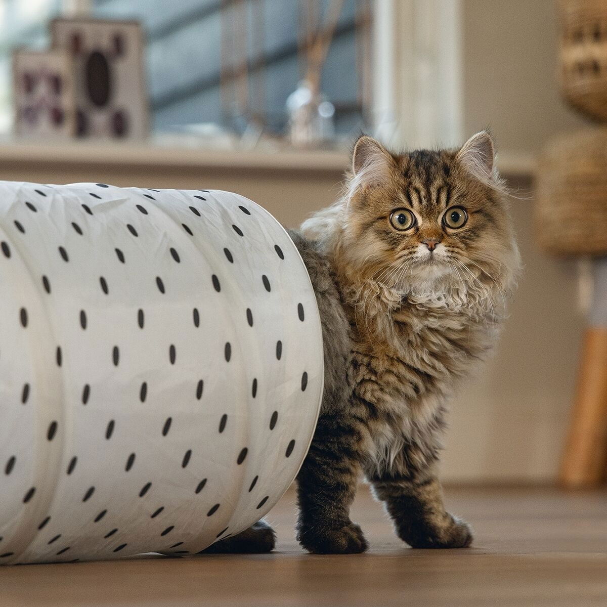 Beeztees Leo Cat tunnel