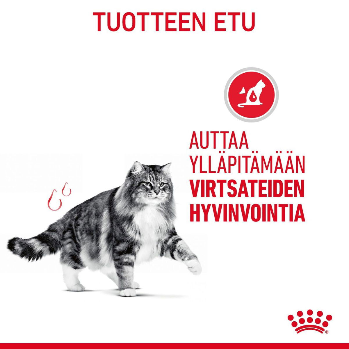 Royal Canin Urinary Care Adult kissan kuivaruoka