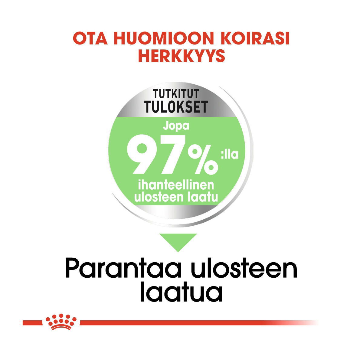 Royal Canin Maxi Digestive Care