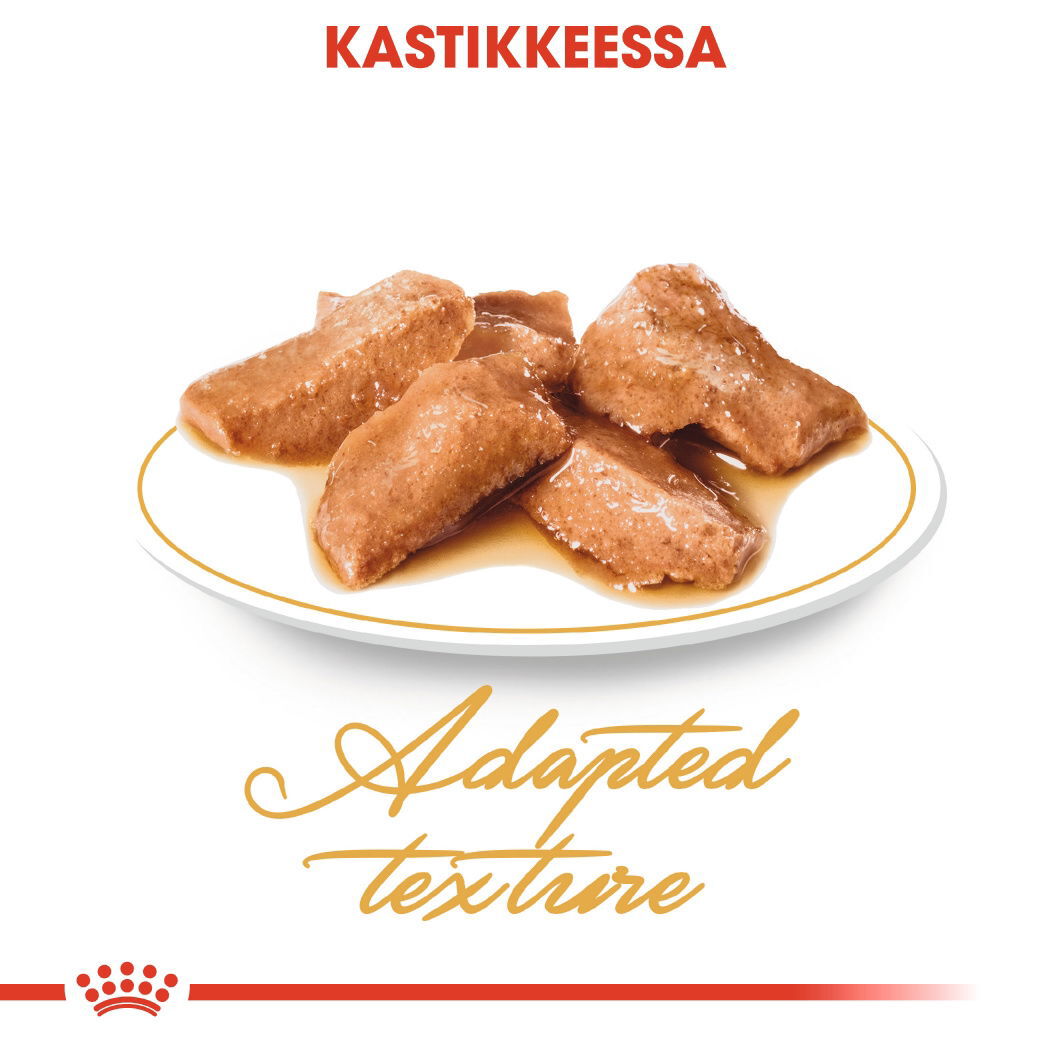Royal Canin Maine Coon Adult Gravy kissan märkäruoka