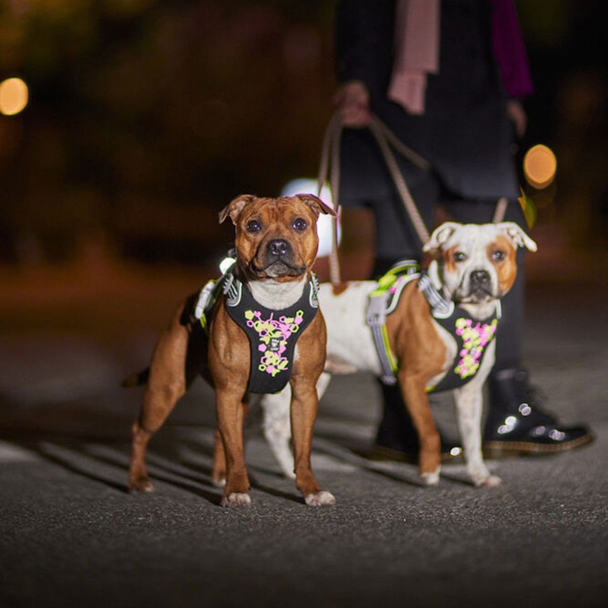 Hurtta Weekend Warrior Neon valjas