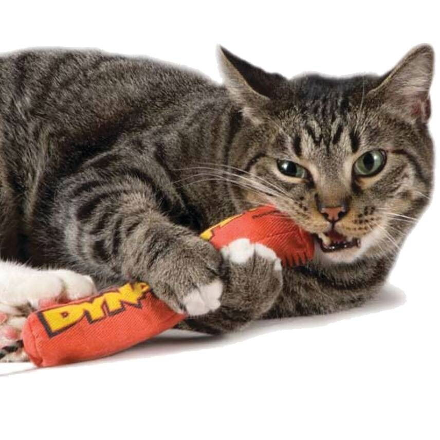 Catstages Green Magic Dynamite kissanlelu punainen