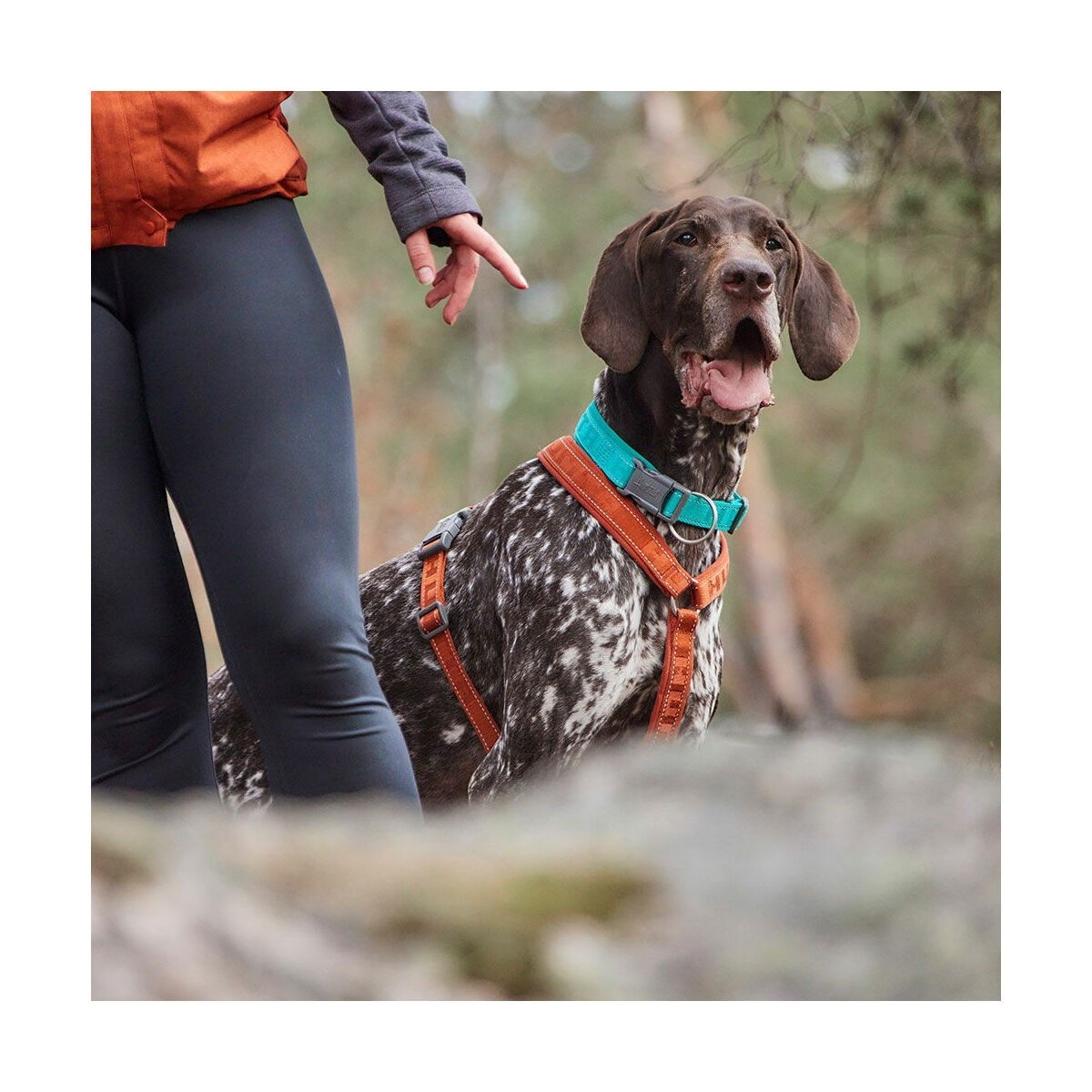 Hurtta Casual ECO  kaulapanta turkoosi