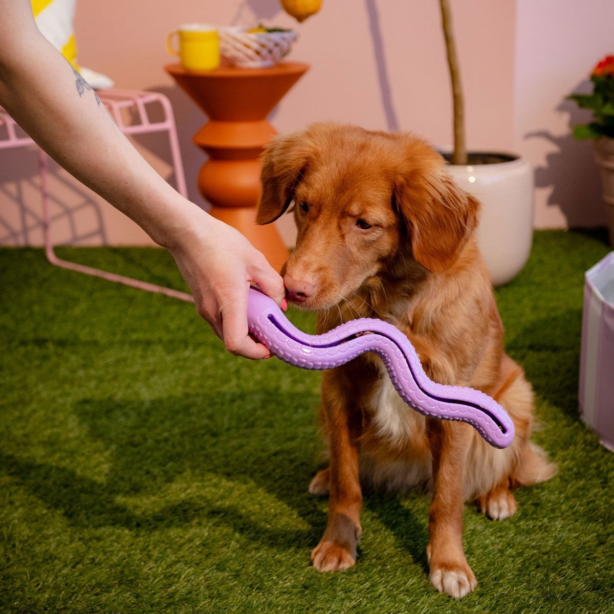 Little&Bigger TPR Snake käärme lila S