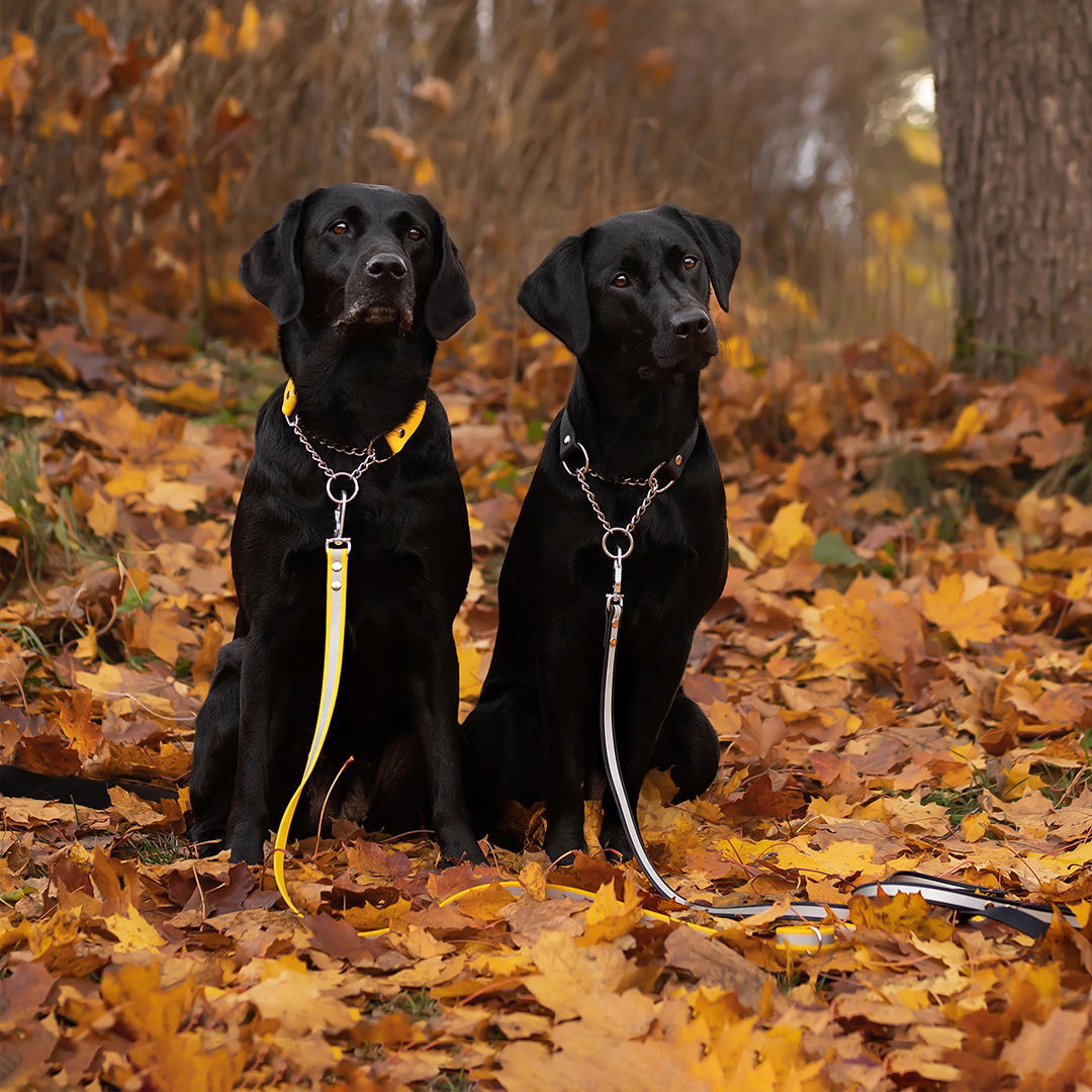 Tyylivoitto Clever puolikiristävä panta, musta