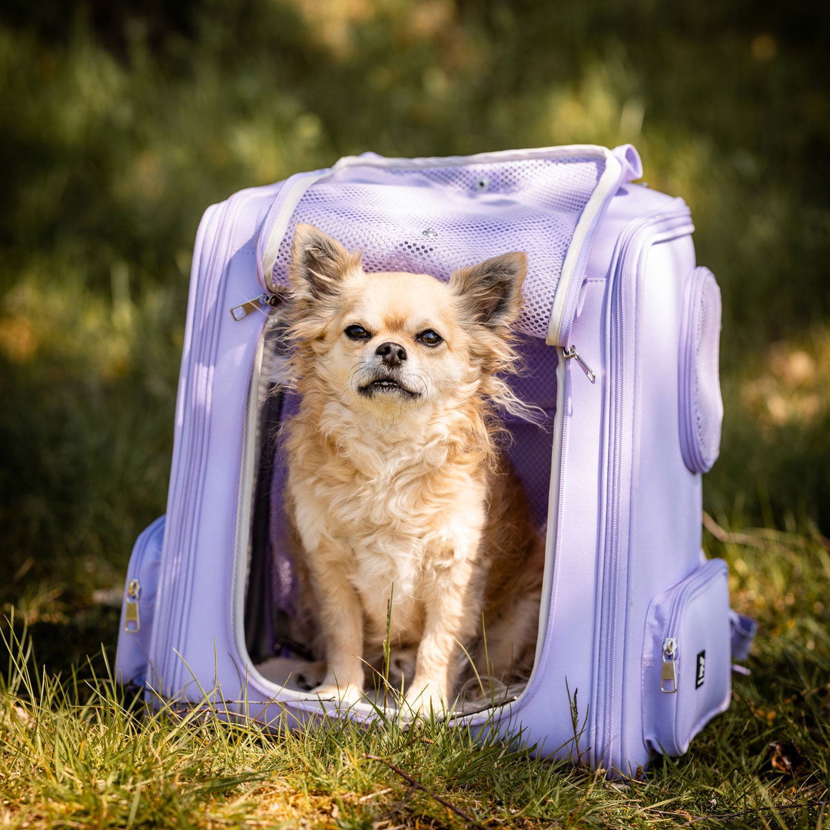 Feel Active kantoreppu laajennusosalla lavender