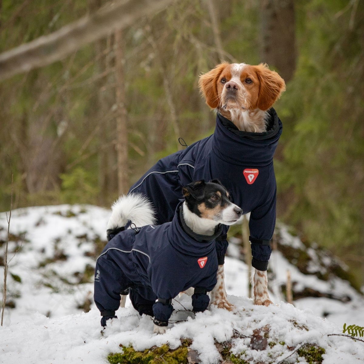 Feel Active Snow toppahaalari sininen