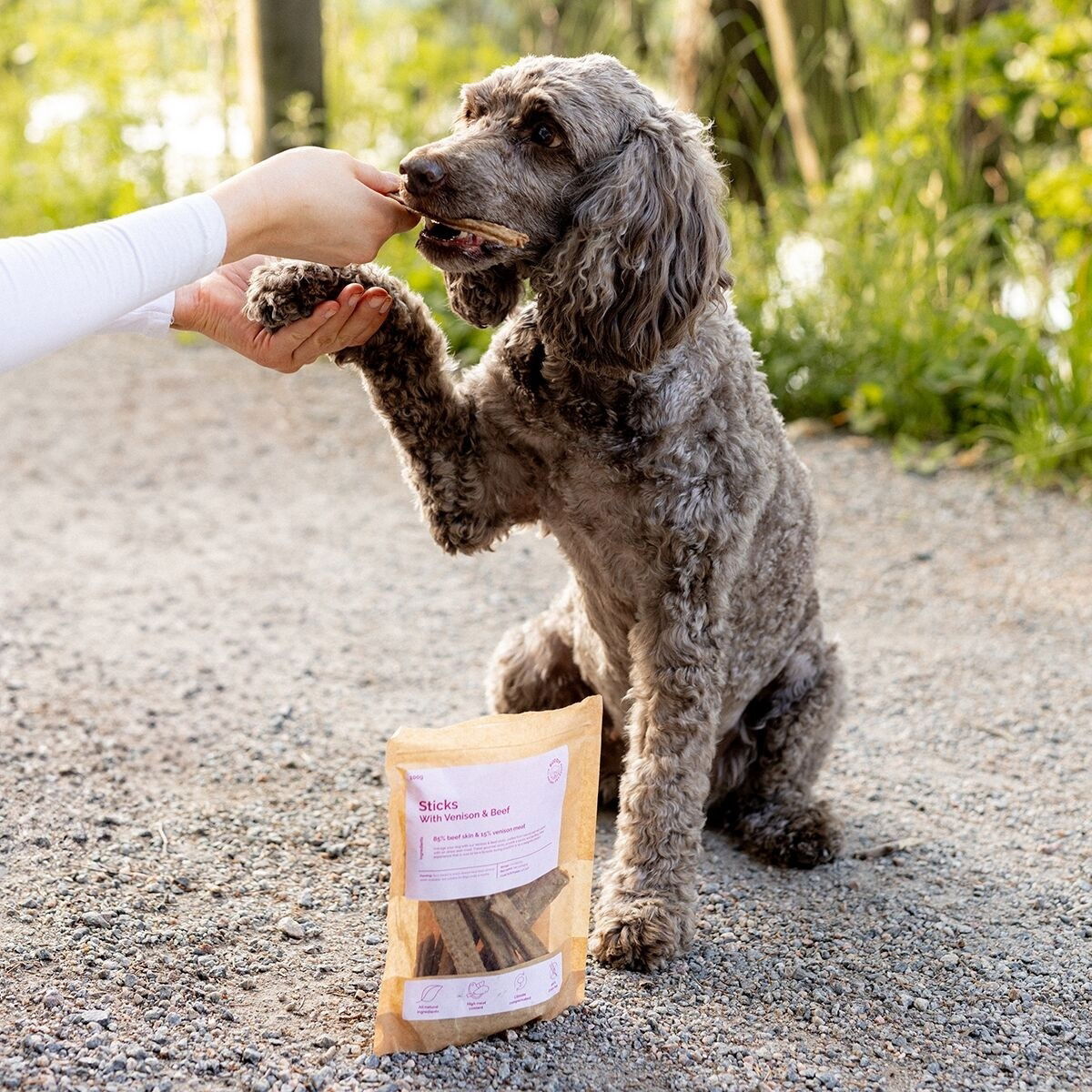 Buddy Dental Chew Venison 100g