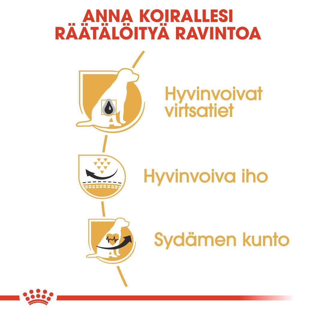 Royal Canin Dalmatian Adult koiran kuivaruoka