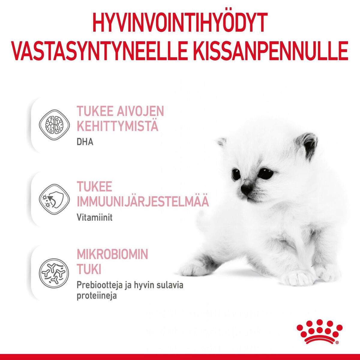 Royal Canin Babycat Milk maito kissanpennulle